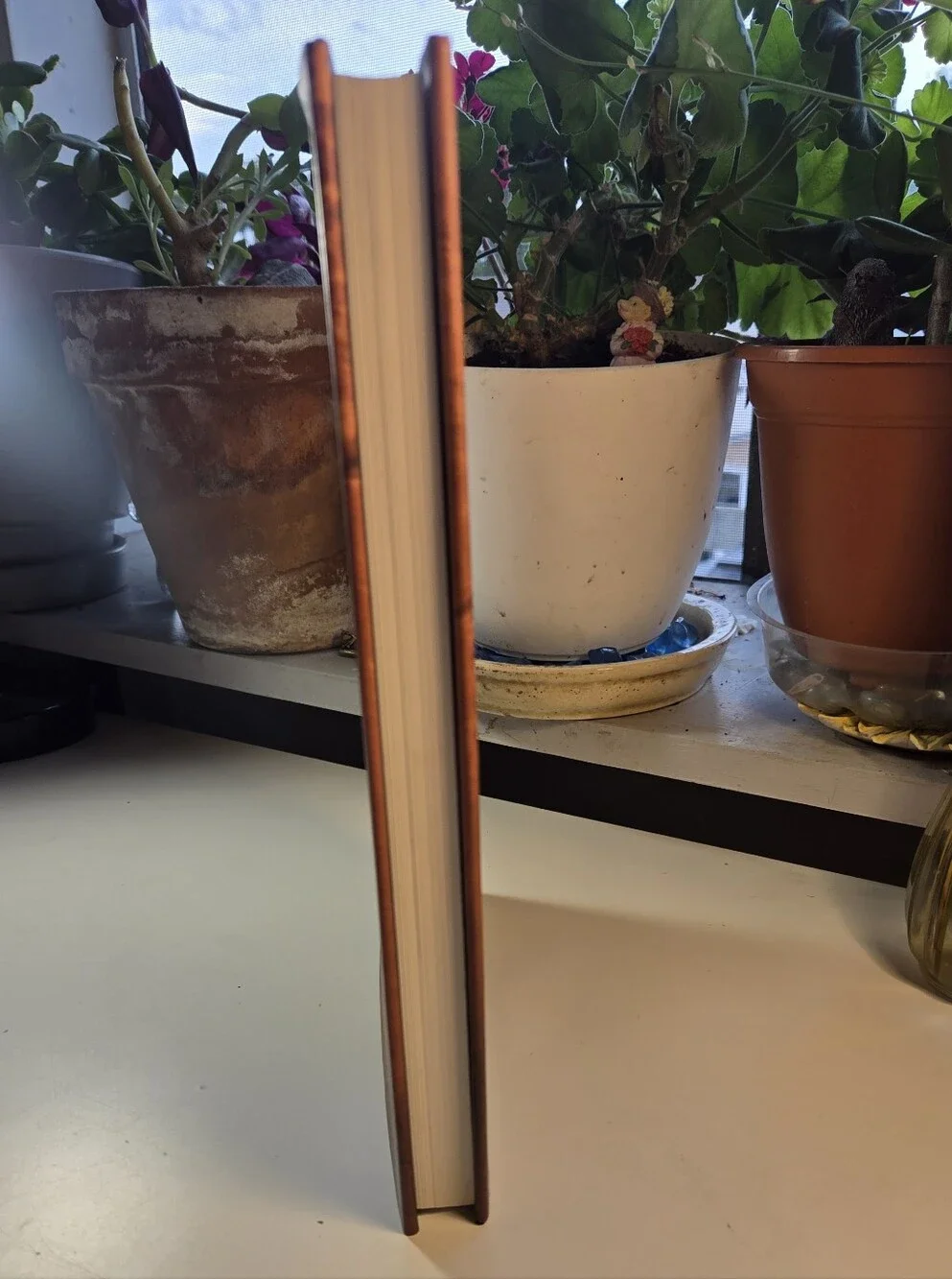 Destination Mars - In Art, Myth, and Science Book